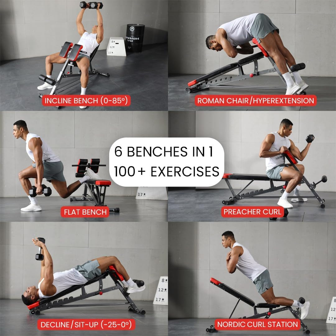 Multi-Functional Weight Bench
